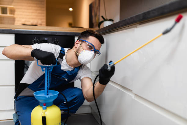 Best Pest Prevention Services  in Seymour, WI