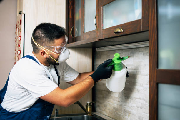 Best Best Pest Control Companies  in Seymour, WI