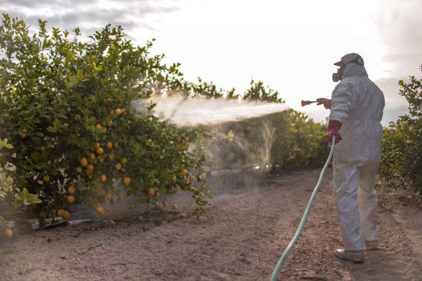Pest Prevention Services in Seymour, WI