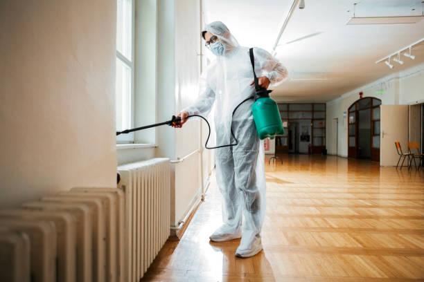 Best Wasp Removal Services  in Seymour, WI